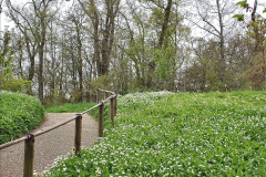 082.2023-04-29-Kingston-Lacy-NT-Late-Spring.-82-