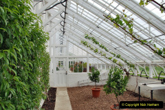 112.2023-04-29-Kingston-Lacy-NT-Late-Spring.-112-