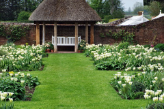 120.2023-04-29-Kingston-Lacy-NT-Late-Spring.-120-