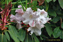 127.2023-04-29-Kingston-Lacy-NT-Late-Spring.-127-