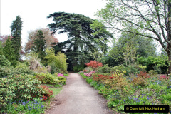 131.2023-04-29-Kingston-Lacy-NT-Late-Spring.-131-