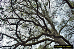 140.2023-04-29-Kingston-Lacy-NT-Late-Spring.-140-