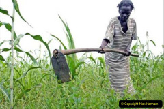 045.2023-05-01-Lady-Gardener.-45-