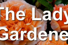 066.2023-05-01-Lady-Gardener.-66-