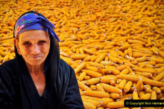 093.2023-05-01-Lady-Gardener.-93-