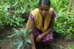 099.2023-05-01-Lady-Gardener.-99-