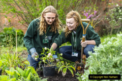 137.2023-05-01-Lady-Gardener.-137-