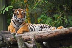 075.2023-08-05-Malaysia.-75-