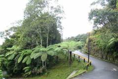 128.2023-08-05-Malaysia.-128-