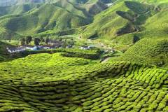 134.2023-08-05-Malaysia.-134-