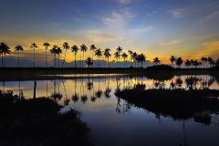 146.2023-08-05-Malaysia.-146-