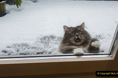 078.2023_08_08-International-Cat-Day.-78-