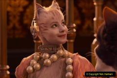 188.2023_08_08-International-Cat-Day.-188-