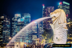 012.2023-08-10-World-Lion-Day.-11-