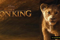 018.2023-08-10-World-Lion-Day.-17-