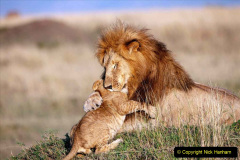 074.2023-08-10-World-Lion-Day.-73-