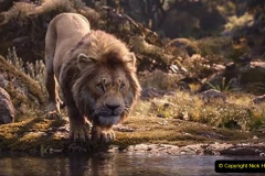 092.2023-08-10-World-Lion-Day.-91-