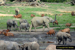 006.2023-08-12-World-Elephant-Day.-6-