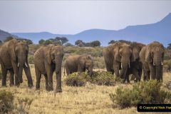 008.2023-08-12-World-Elephant-Day.-8-