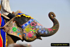 011.2023-08-12-World-Elephant-Day.-11-