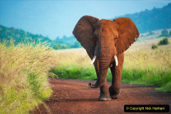 025.2023-08-12-World-Elephant-Day.-25-