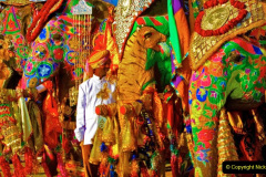 029.2023-08-12-World-Elephant-Day.-29-