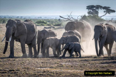 038.2023-08-12-World-Elephant-Day.-38-
