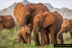 047.2023-08-12-World-Elephant-Day.-47-