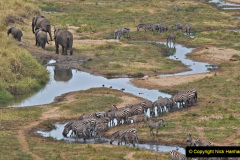 051.2023-08-12-World-Elephant-Day.-51-