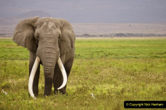 054.2023-08-12-World-Elephant-Day.-54-