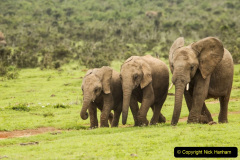 060.2023-08-12-World-Elephant-Day.-60-