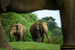 062.2023-08-12-World-Elephant-Day.-62-