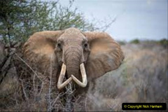 063.2023-08-12-World-Elephant-Day.-63-
