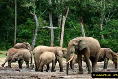 068.2023-08-12-World-Elephant-Day.-68-