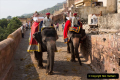 074.2023-08-12-World-Elephant-Day.-74-