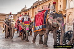 Jaipur, India - March 16, 2014: Guides with their elephants exiting Amber (Amer) Fort, heading to the foothills to pick up new tourist groups.