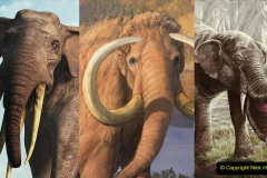 086.2023-08-12-World-Elephant-Day.-86-