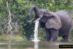 089.2023-08-12-World-Elephant-Day.-89-