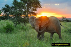 091.2023-08-12-World-Elephant-Day.-91-