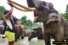 103.2023-08-12-World-Elephant-Day.-103-
