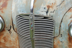 038.2023-08-24-Melplash-Bridport-Show.-38-