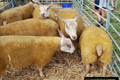 201.2023-08-24-Melplash-Bridport-Show.-201-