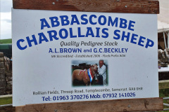 205.2023-08-24-Melplash-Bridport-Show.-205-