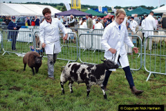 209.2023-08-24-Melplash-Bridport-Show.-209-