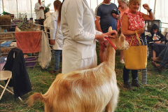221.2023-08-24-Melplash-Bridport-Show.-221-