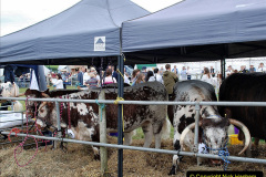 231.2023-08-24-Melplash-Bridport-Show.-231-