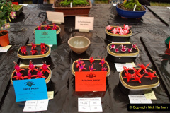 385.2023-08-24-Melplash-Bridport-Show.-385-