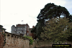 047.2023-08-27-Brownsea-Island-NT-Poole-Harbour-Poole-Dorset.-47-