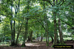 051.2023-08-27-Brownsea-Island-NT-Poole-Harbour-Poole-Dorset.-51-