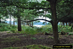 056.2023-08-27-Brownsea-Island-NT-Poole-Harbour-Poole-Dorset.-56-